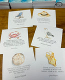 Positive Thoughts Card Set - Beach Lovers Set