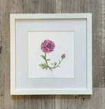 Framed 8x8" Watercolor Art