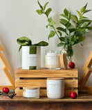 Christmas Candle Collection - Coconut Soy Wax Candle: Mistletoe / Granite 10oz