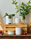 Christmas Candle Collection - Coconut Soy Wax Candle: Spiked Eggnog / Granite 10oz
