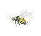 Decorative Stickers