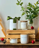 Christmas Candle Collection - Coconut Soy Wax Candle: Mistletoe / Granite 10oz